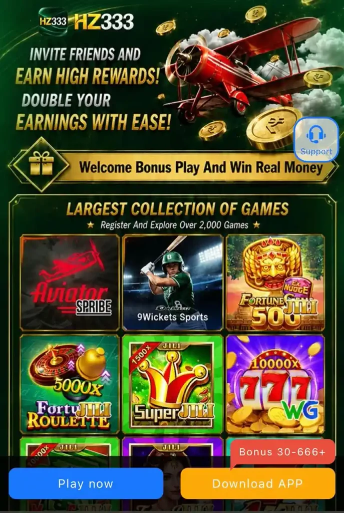HZ333 Game